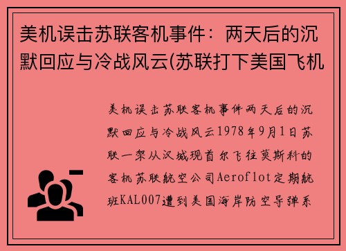 美机误击苏联客机事件：两天后的沉默回应与冷战风云(苏联打下美国飞机u2)